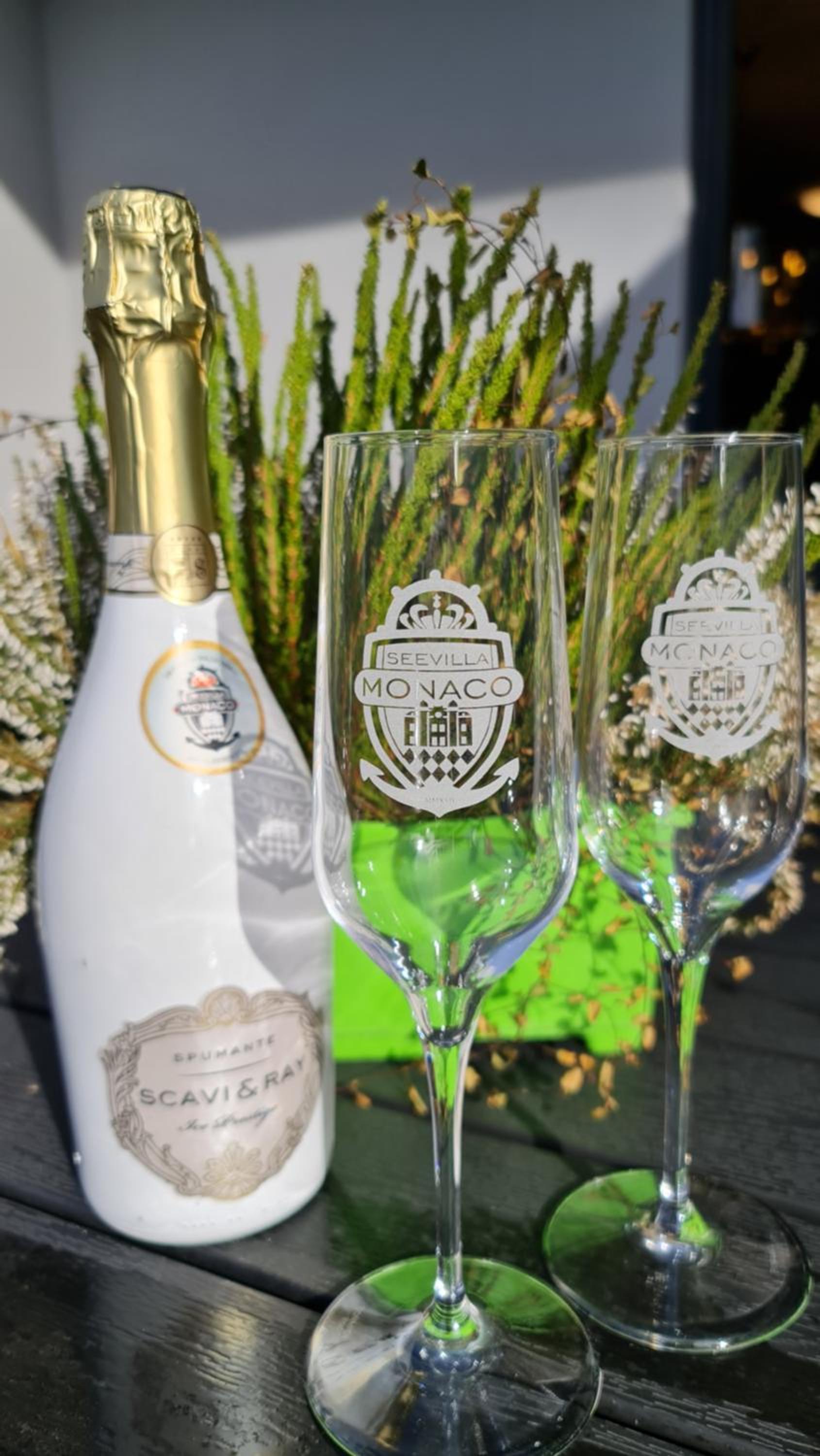 Luxusferienhaus Seevilla Monaco am Fleesensee