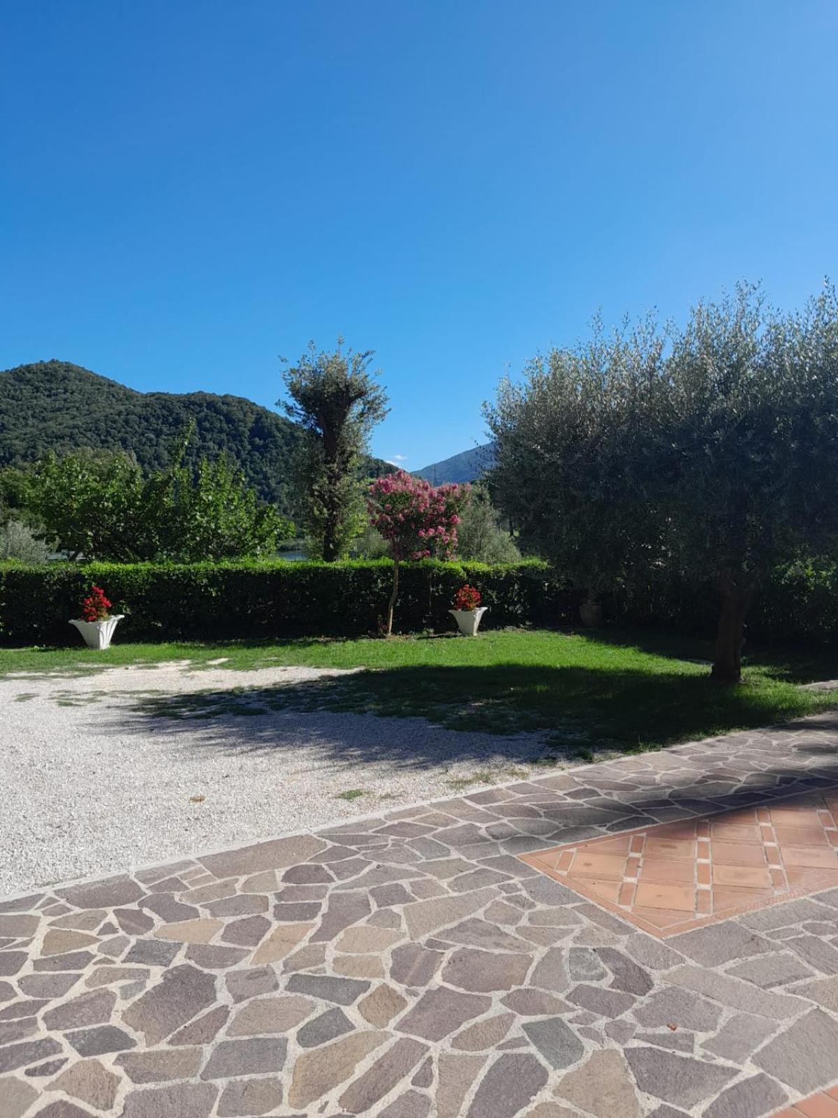 La Cannucciola