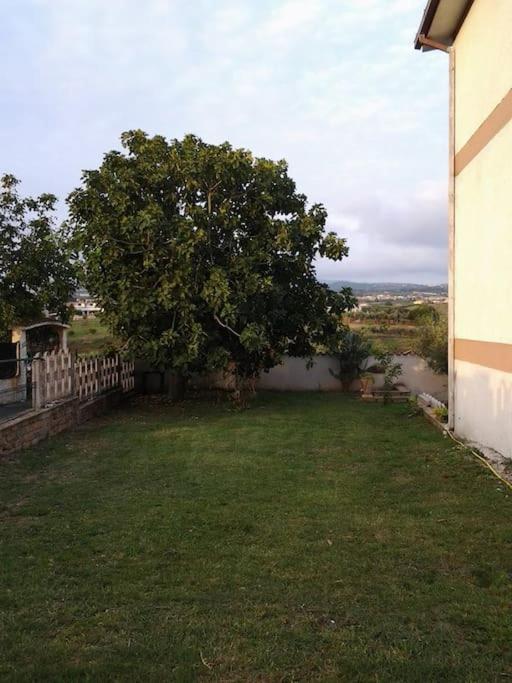 A Casa Mia photo 4