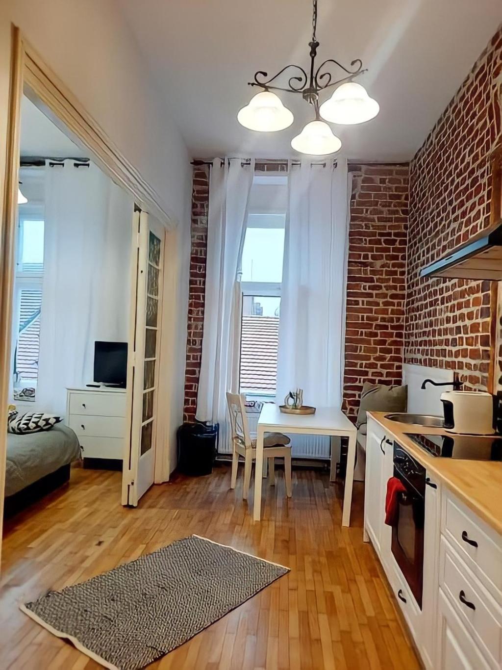 Timisoara Central Historical Center Apartment Liberty Union Square view 4