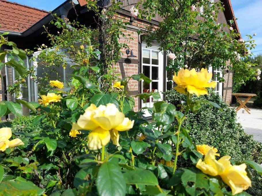 Ferienhaus Gartower See
