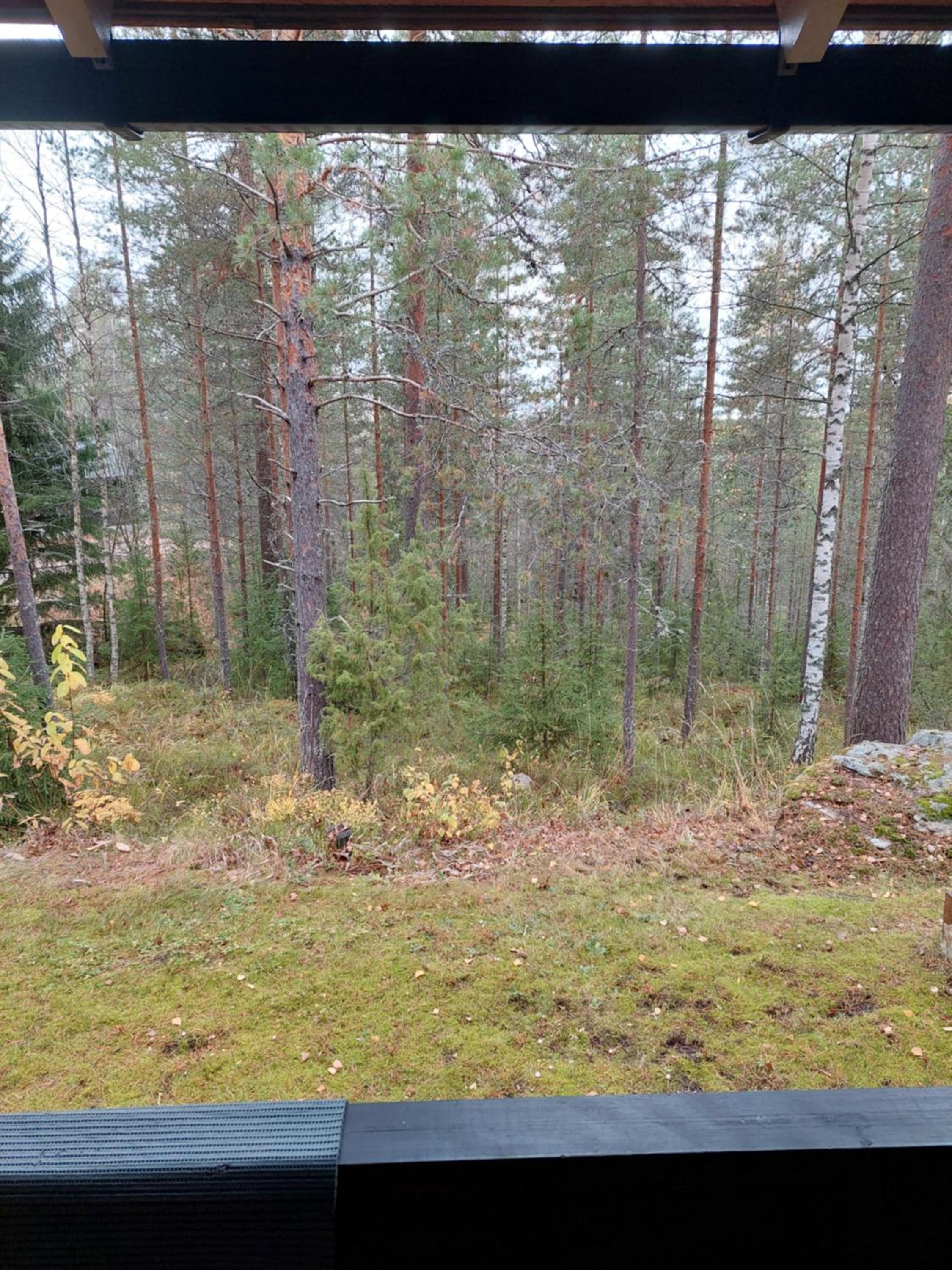 Photo 22