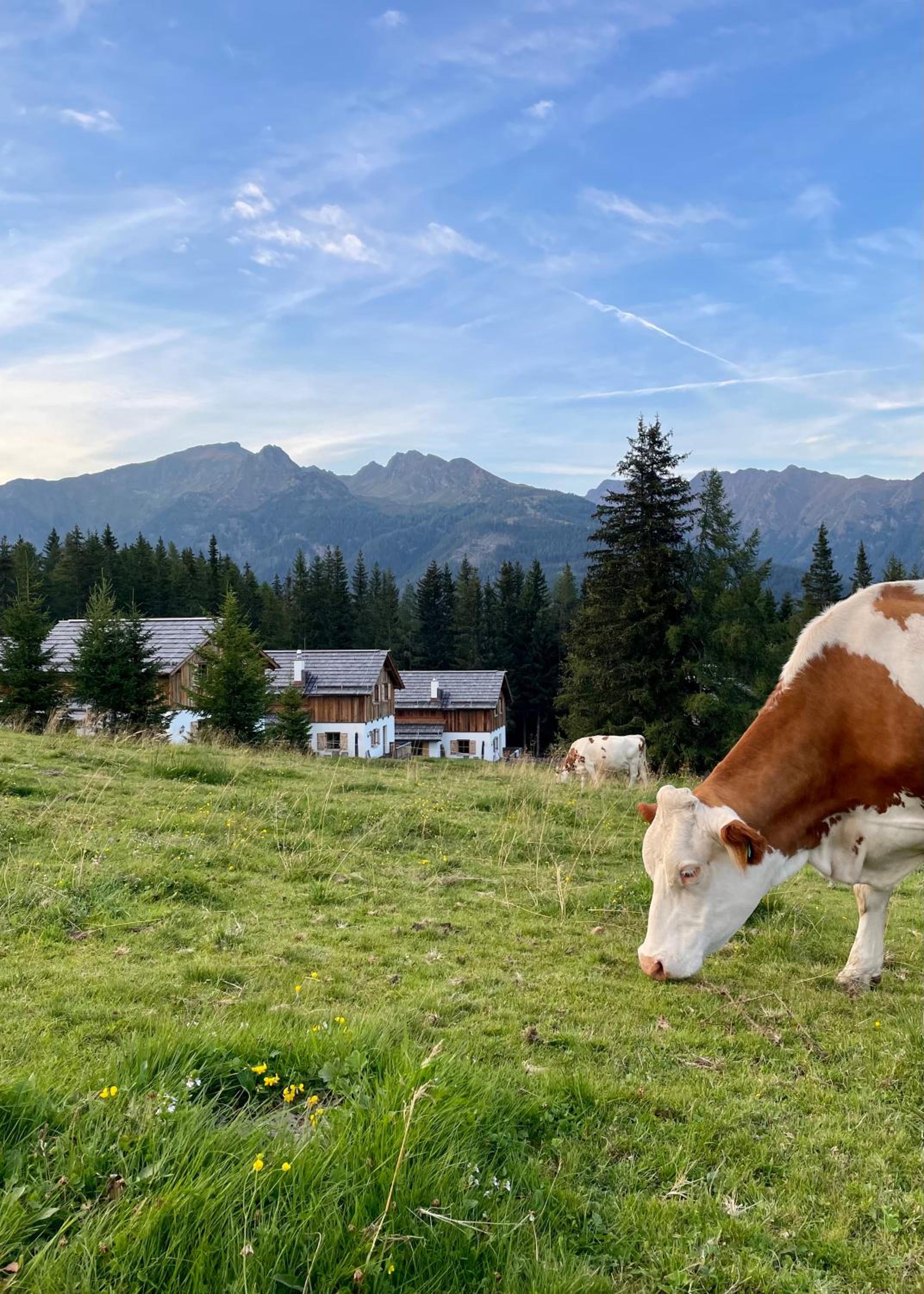 Almdorf Omlach, Fanningberg view 5