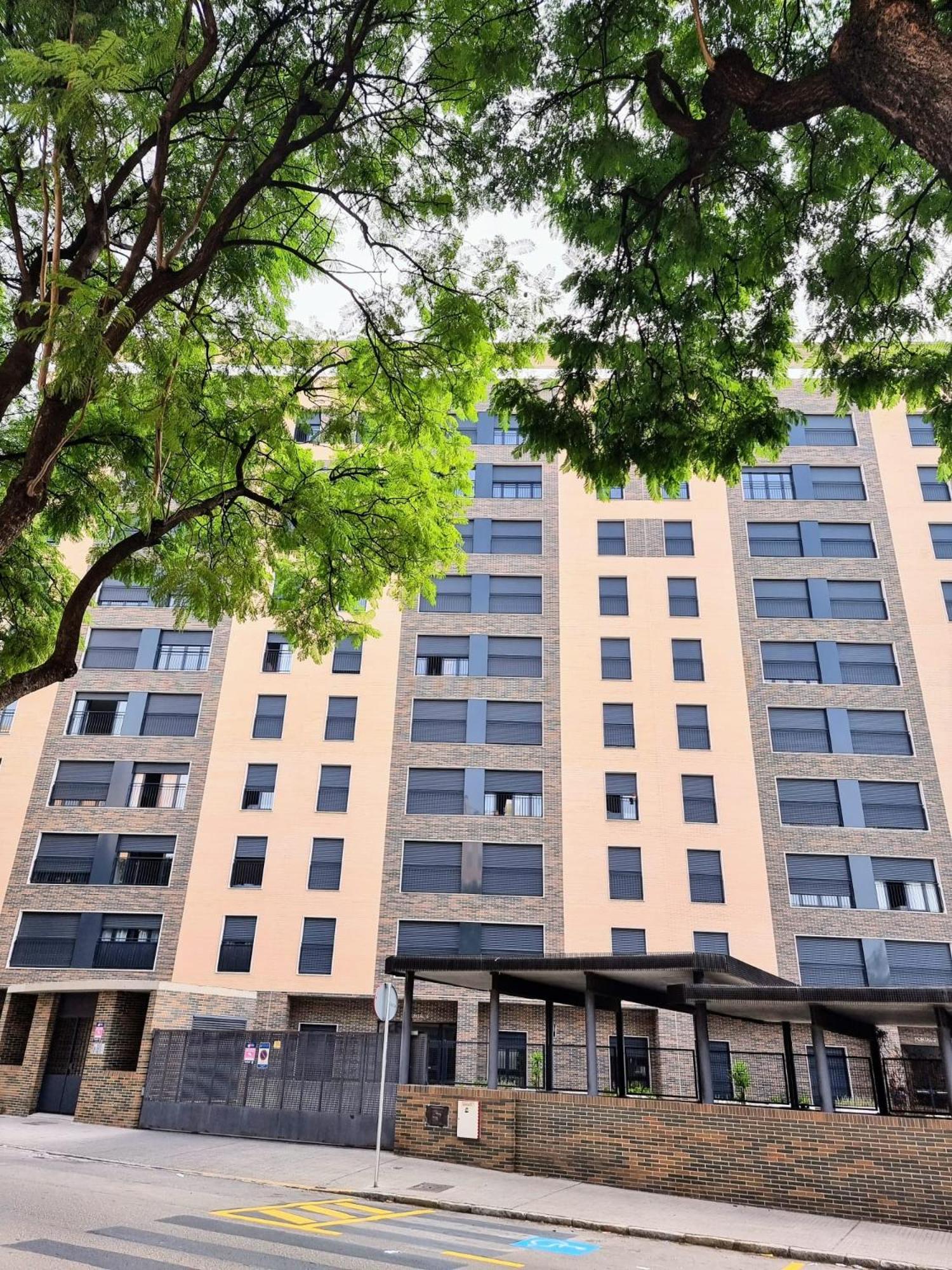 Alazán Jerez II-Parking gratis-wifi-Netflix