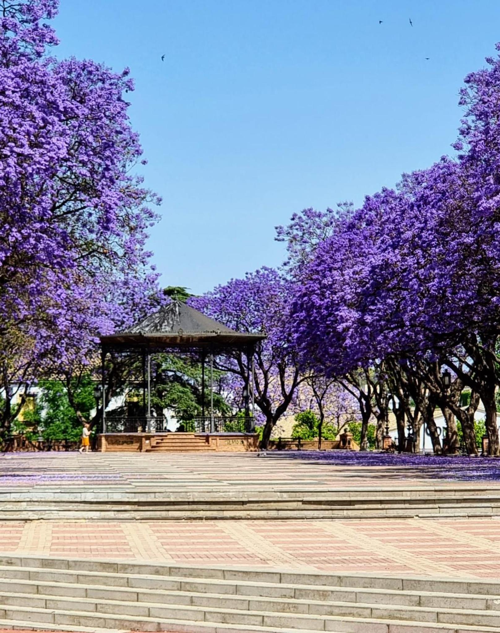 Alazán Jerez II-Parking gratis-wifi-Netflix