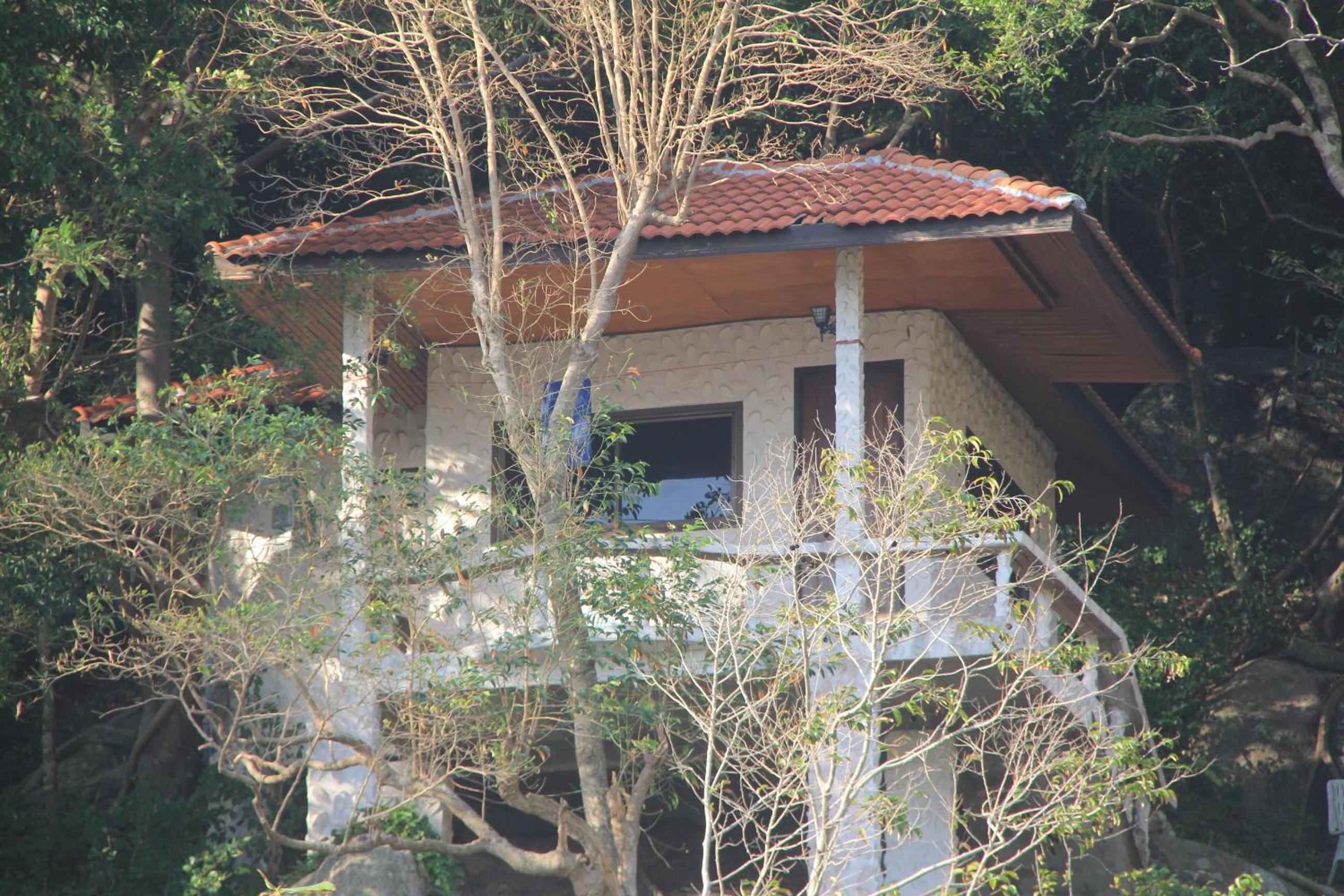 Photo 8