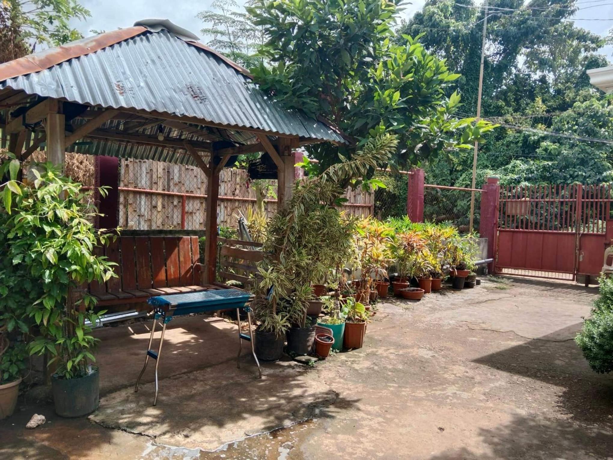 Peace Lily Studio Apartments Panglao view 3