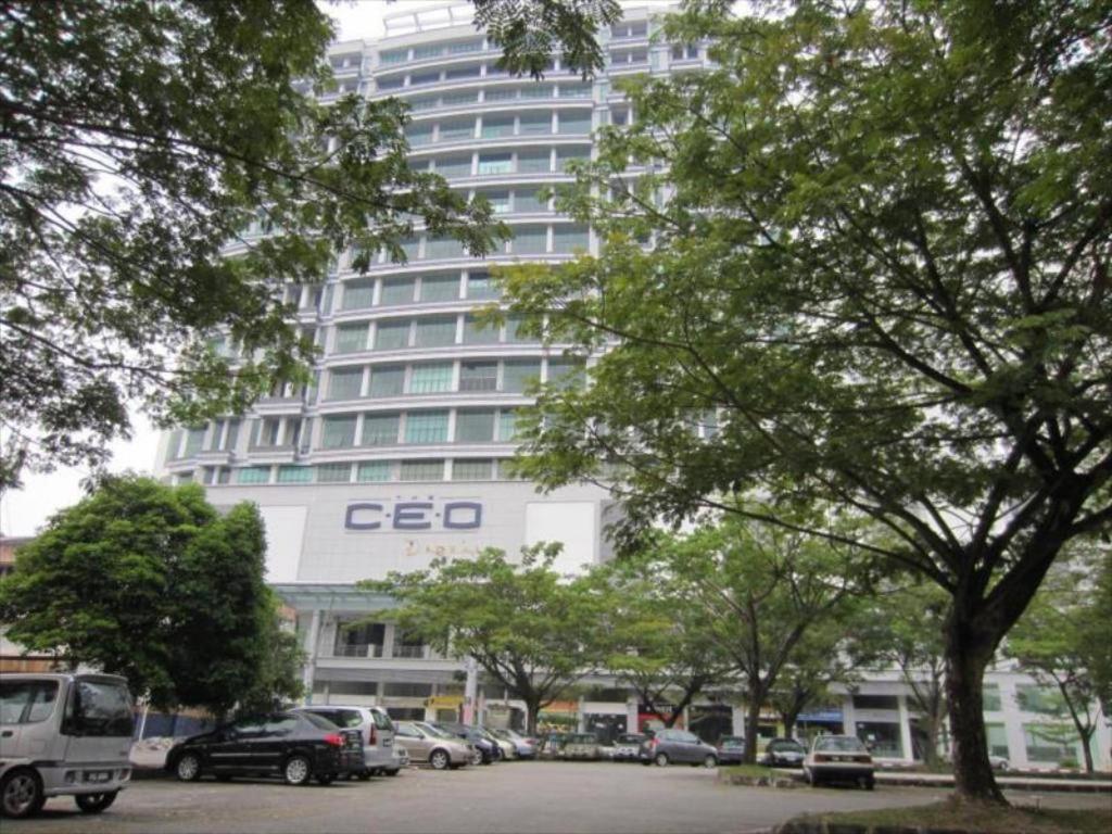Photo 20