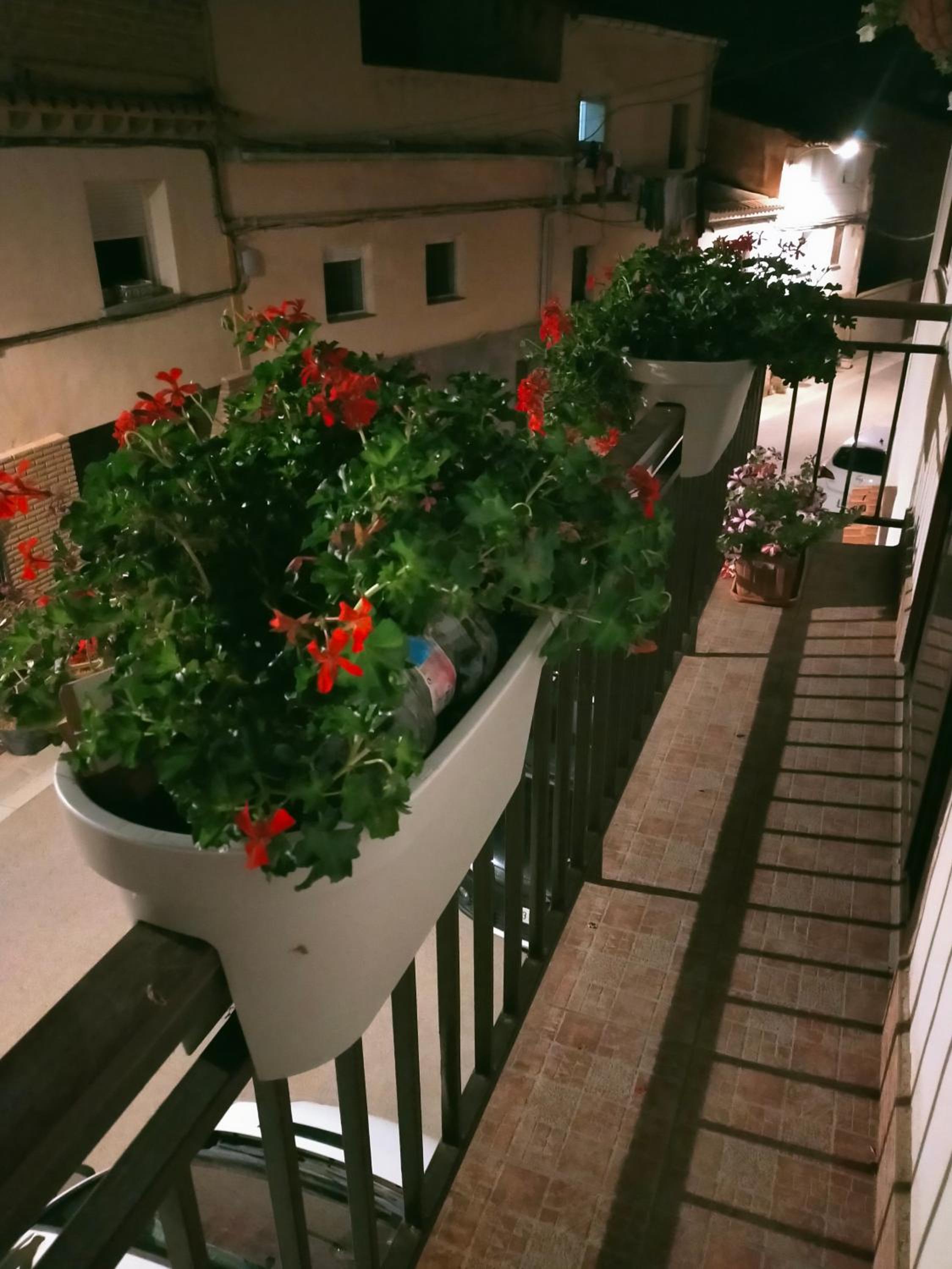 Apartamento turístico Larraga view 4