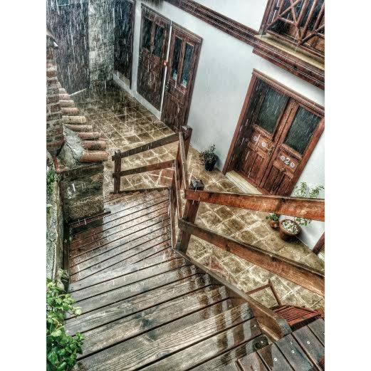 Amazon Petite Palace