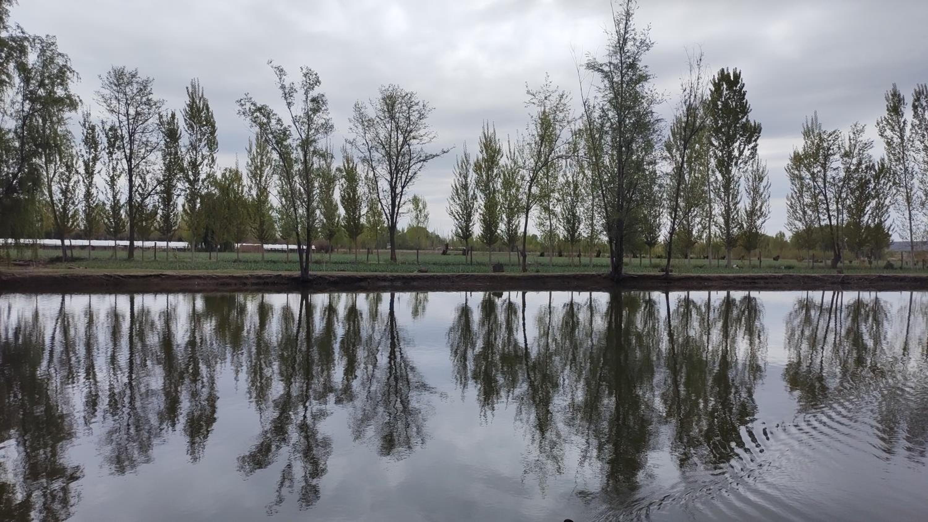 Caminos De Uco - posada de campo-