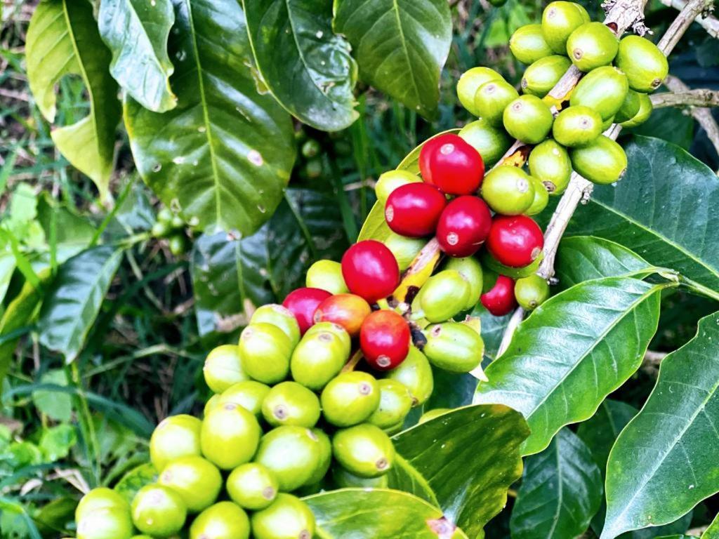 Posada Lu.Lu