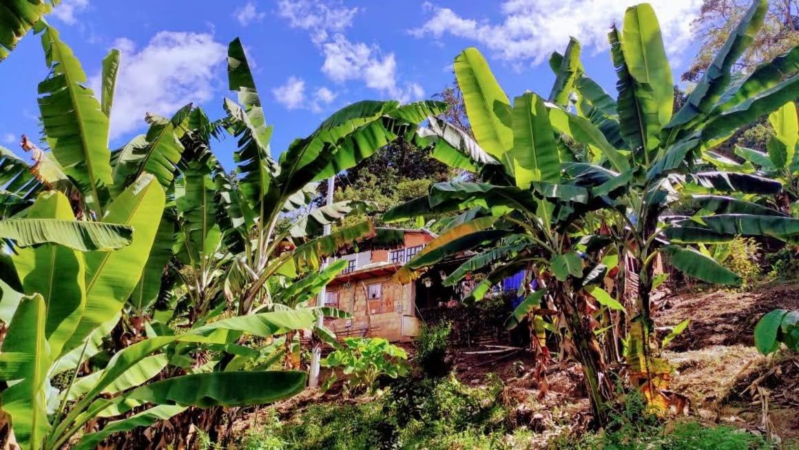 Posada Lu.Lu