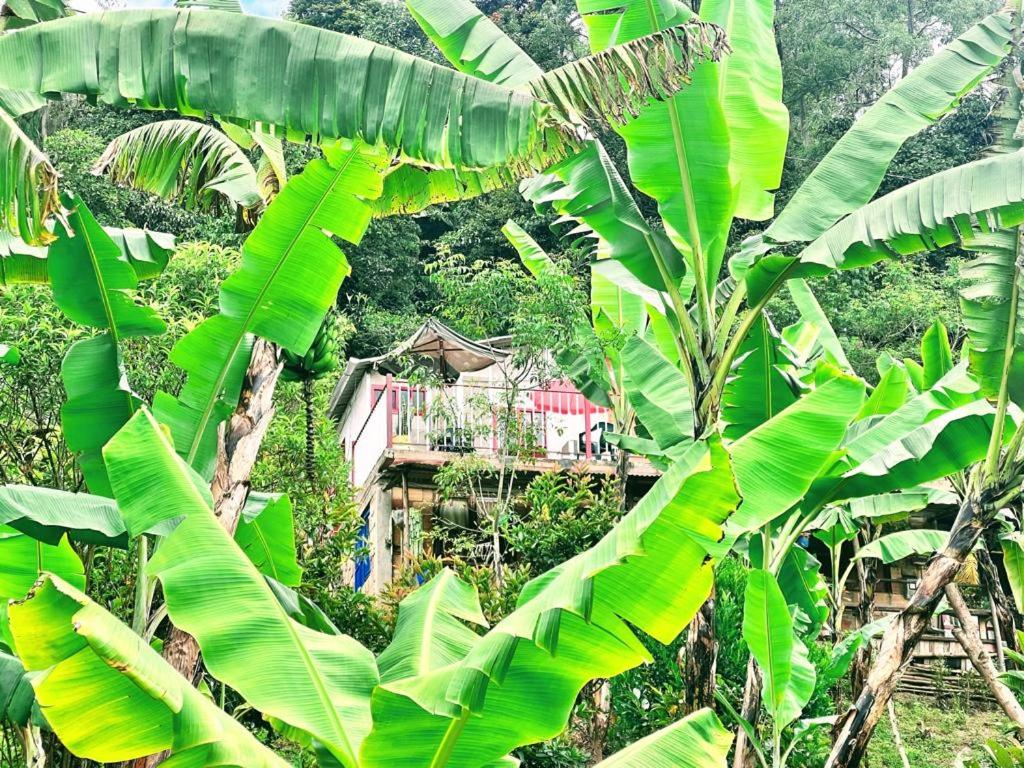Posada Lu.Lu