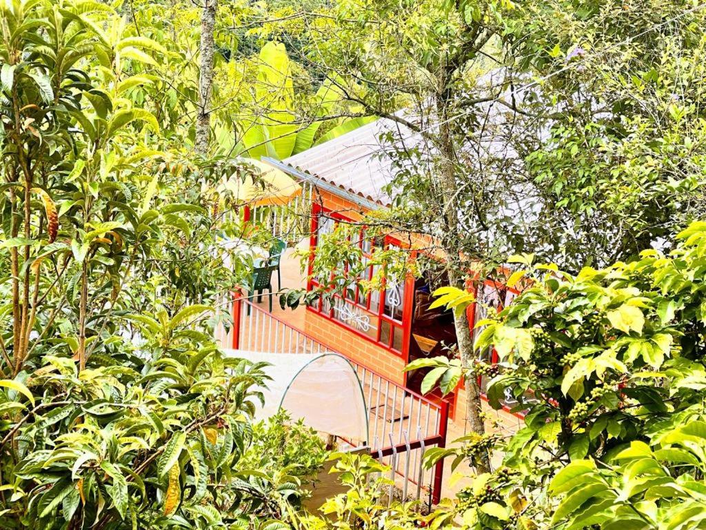 Posada Lu.Lu