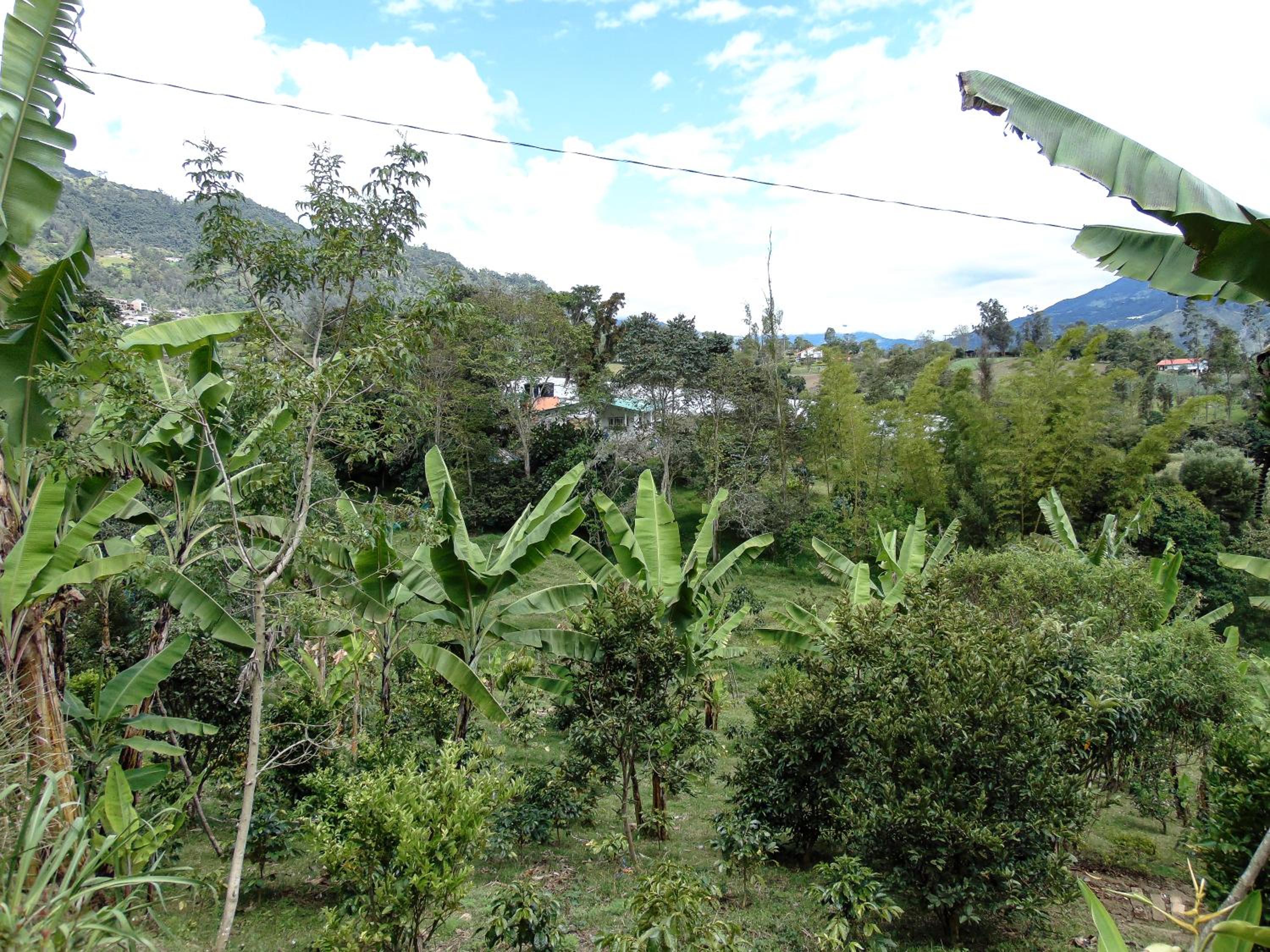 Posada Lu.Lu