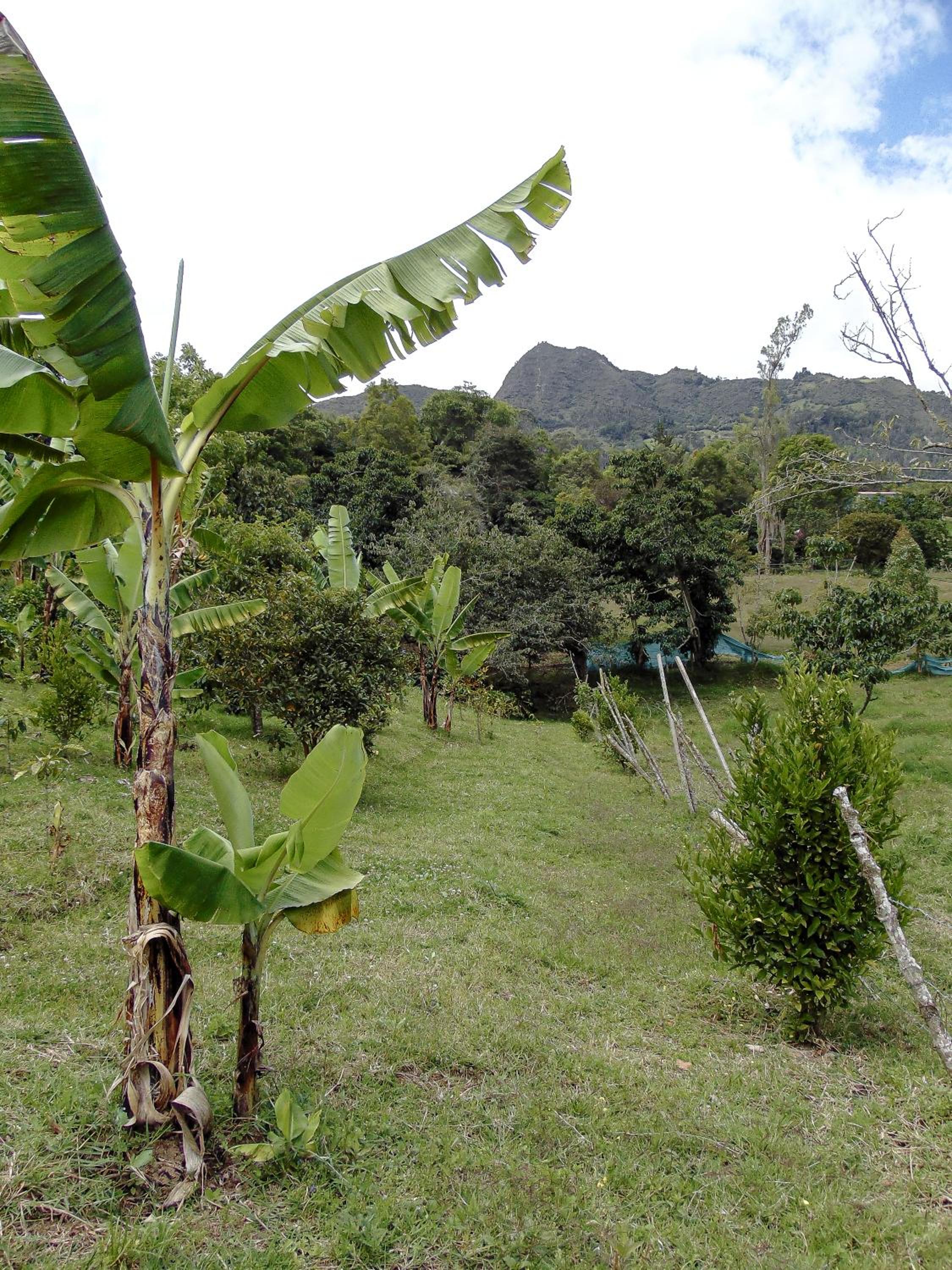 Posada Lu.Lu