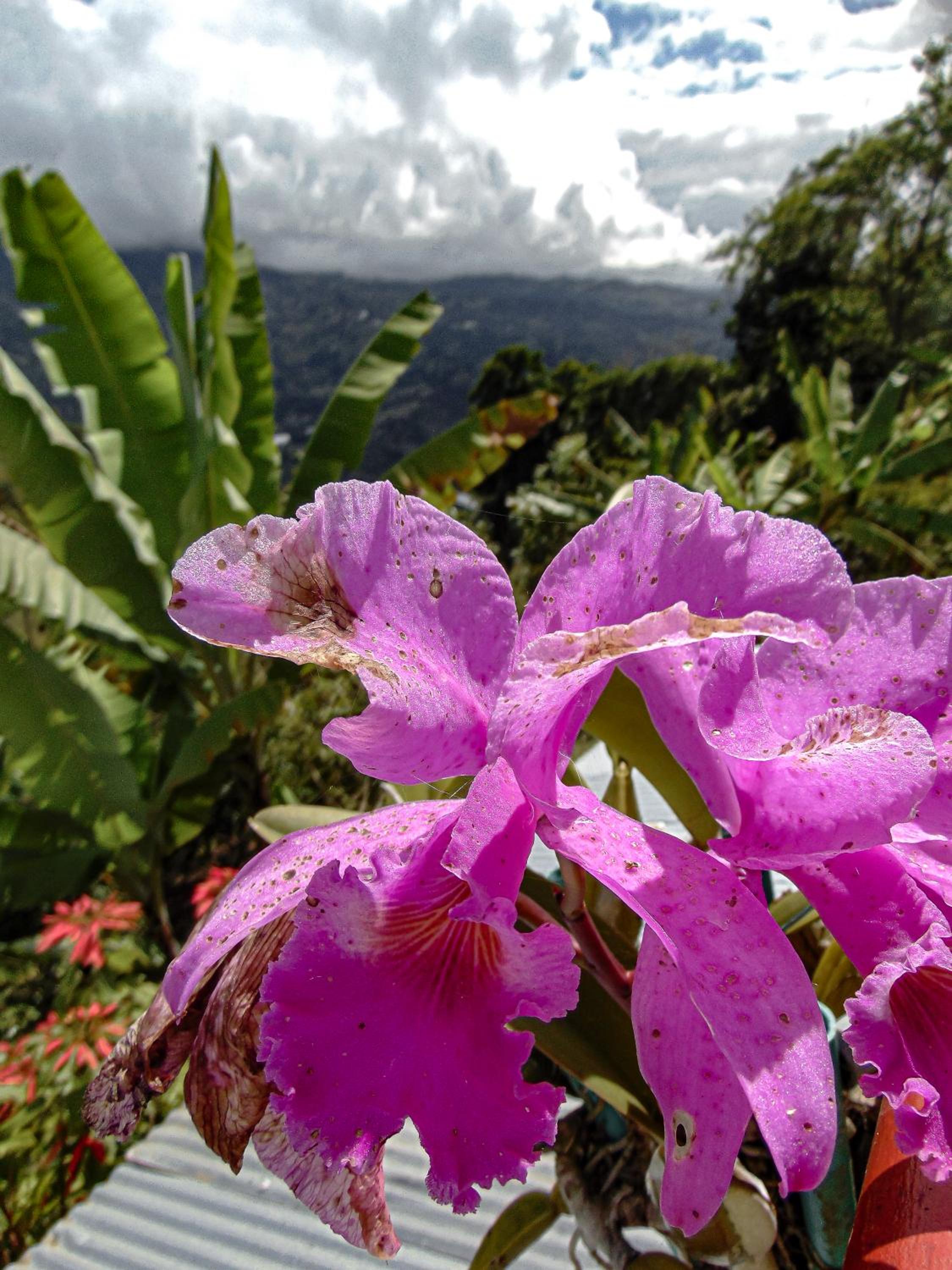Posada Lu.Lu