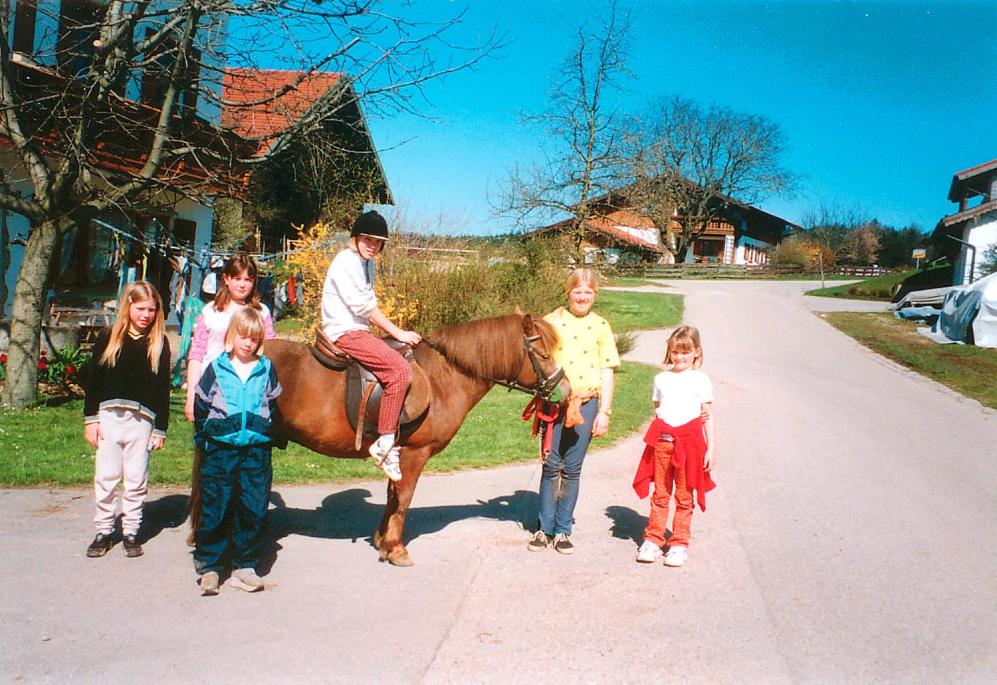 Bauernhof Berndlhof Obing