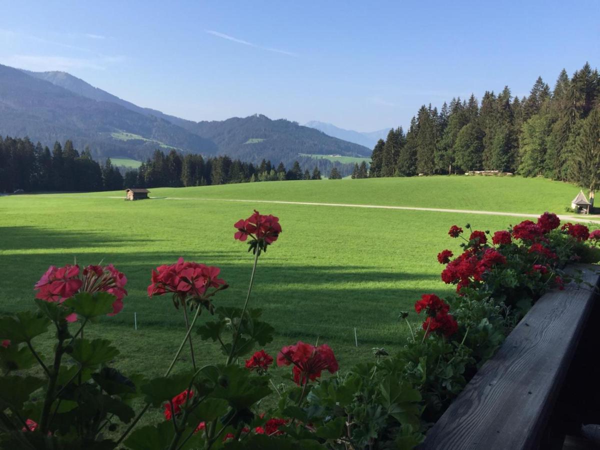 Ellmauhof
