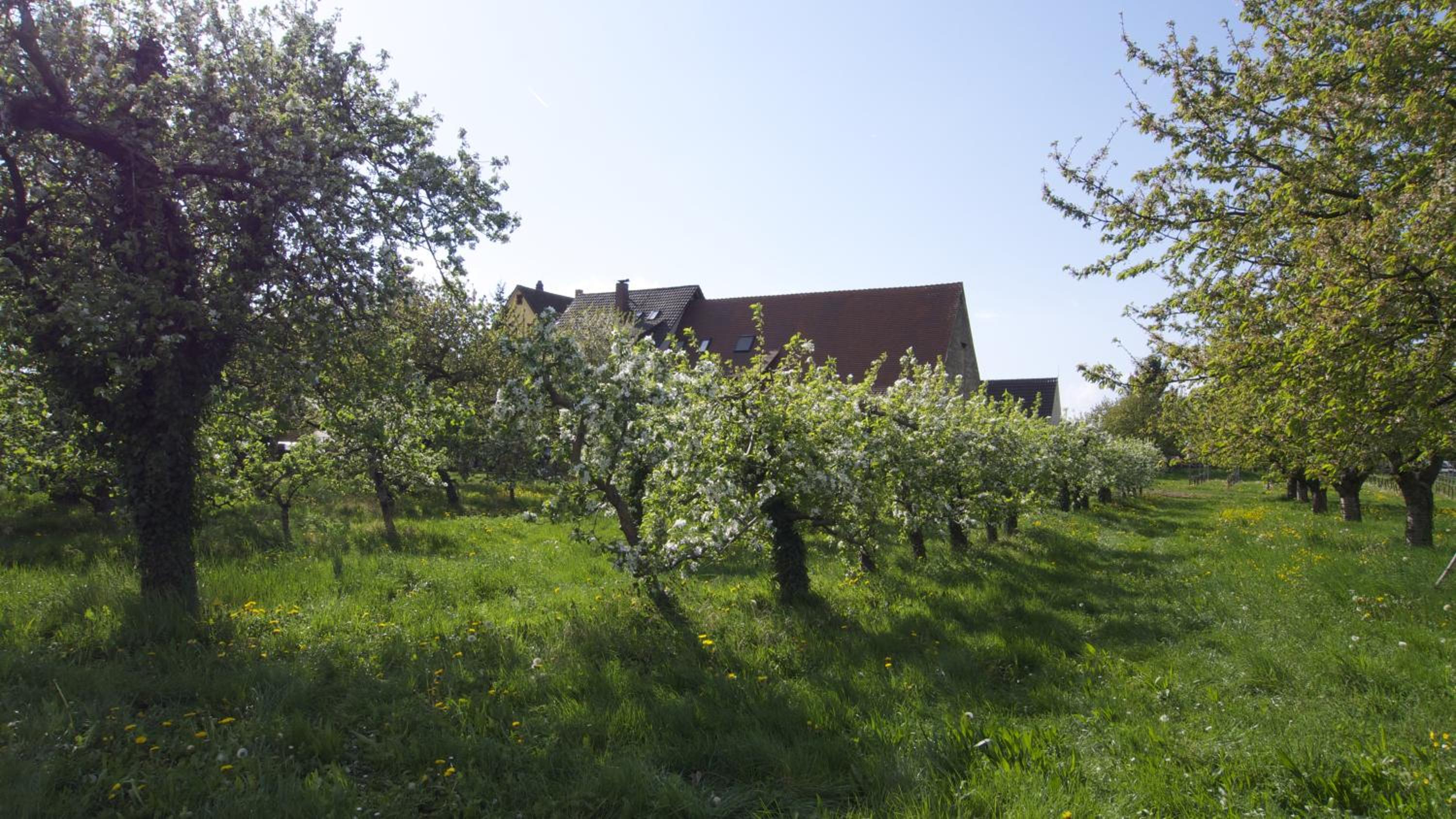 zum Schwanen Garni