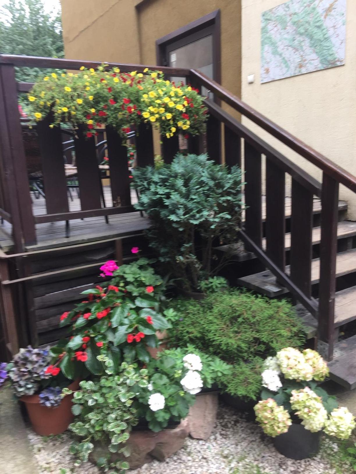 Photo 52