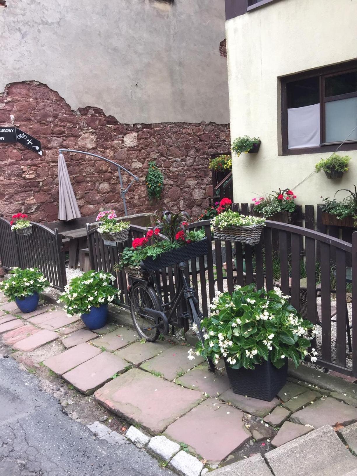 Centrum Turystyki Niekonwencjonalnej view 2
