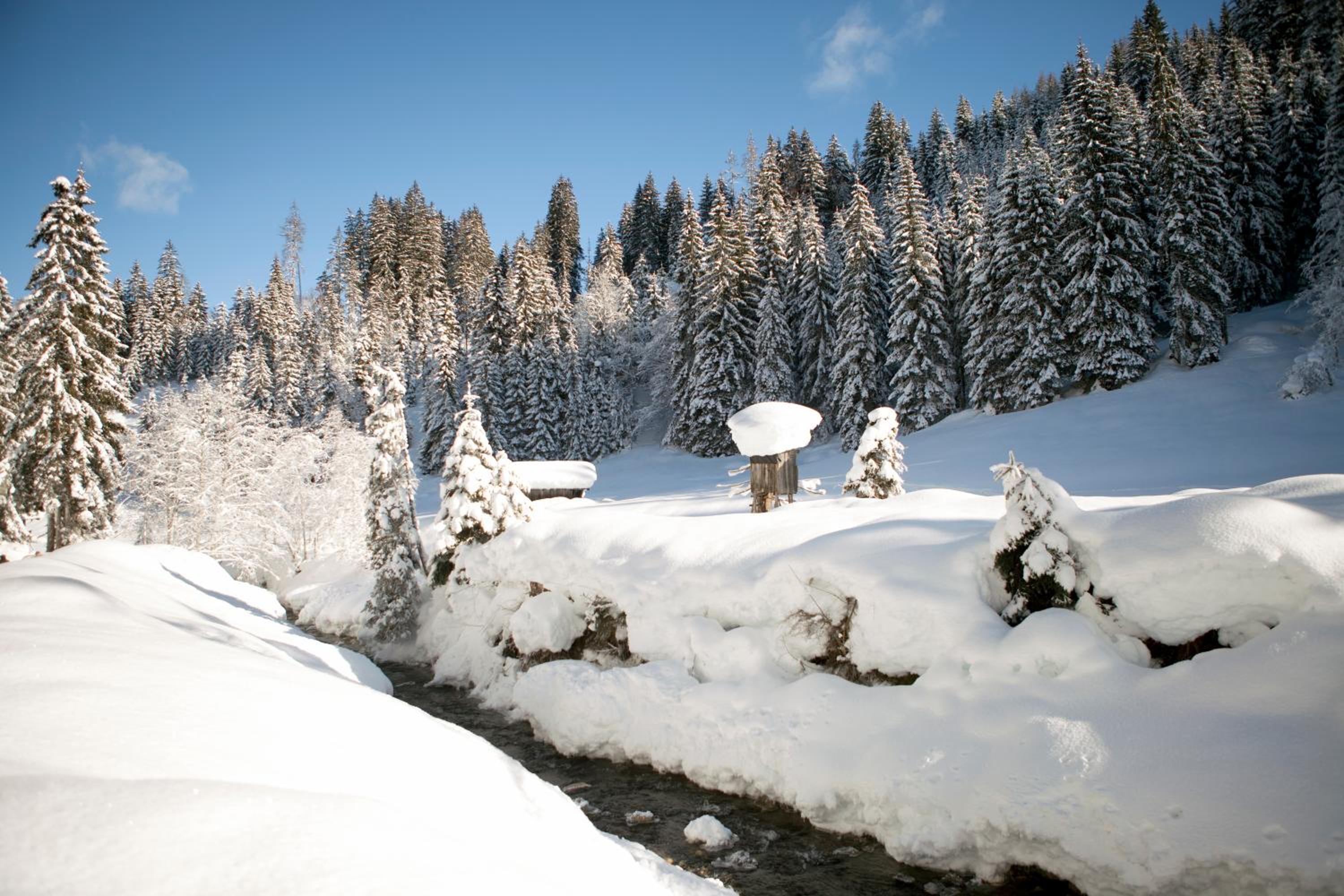 vomLandl Natur Lofts & Apartments Leogang