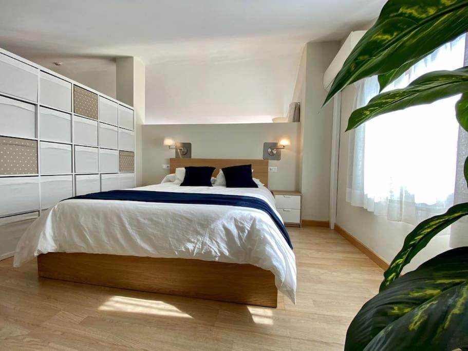 Exclusive Beachfront Penthouse