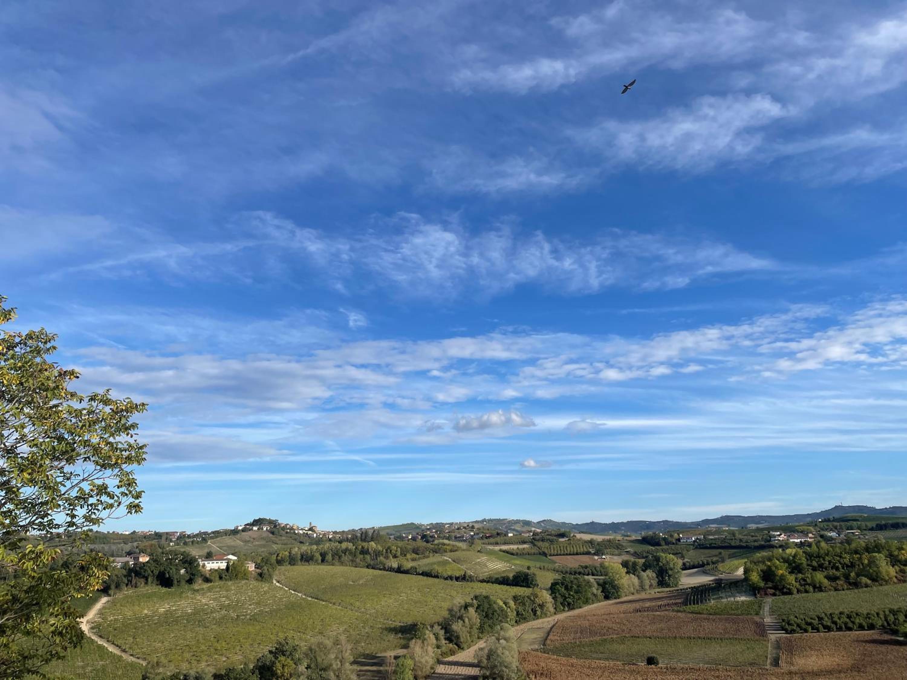 Locazione turistica Cascina Pela view 4
