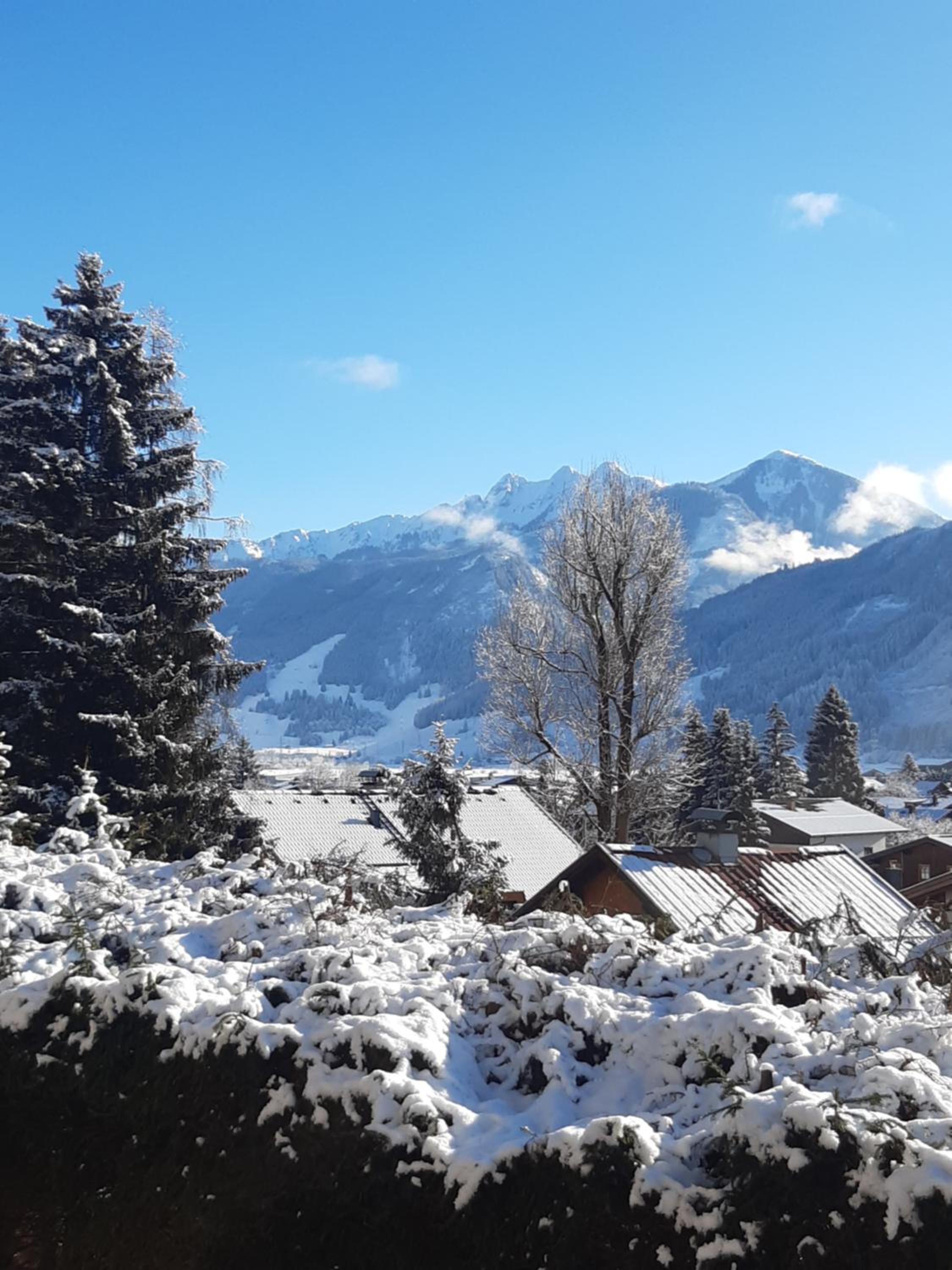 Appartement Alpenheim view 5