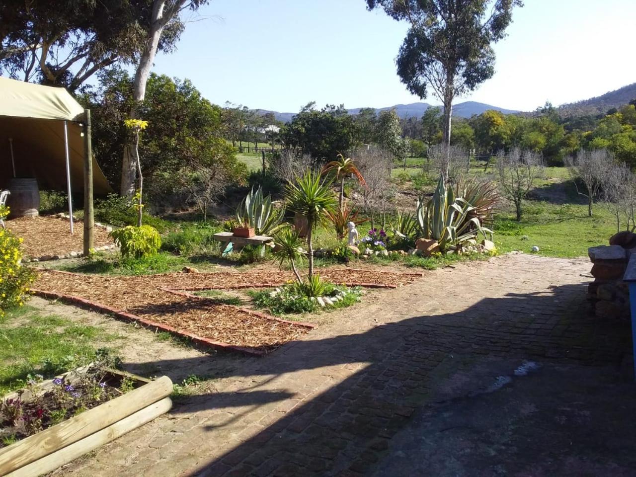 Photo 17