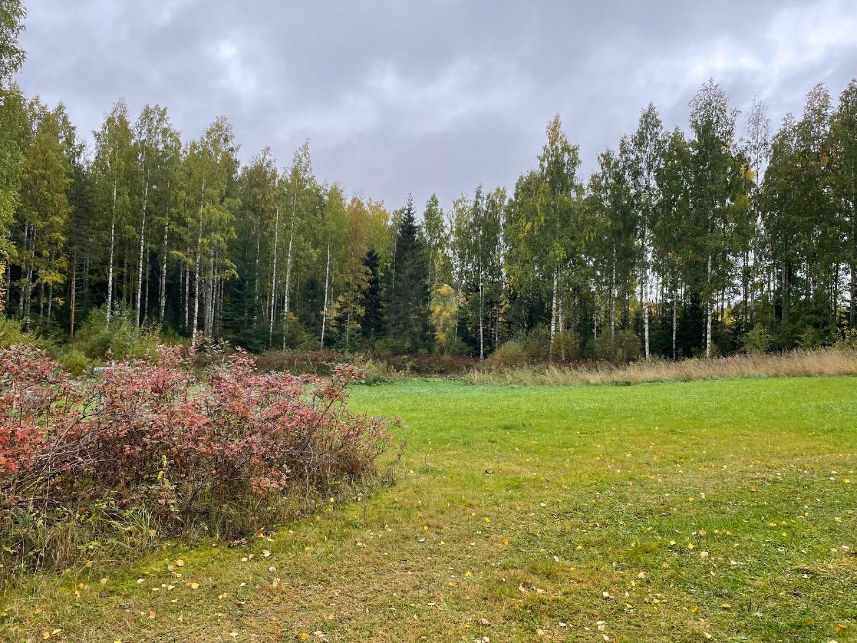 Villa Metsätähti Punkaharjulla