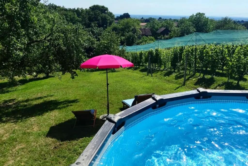Kuća za odmor Villa Cesarica - Zagreb view 4