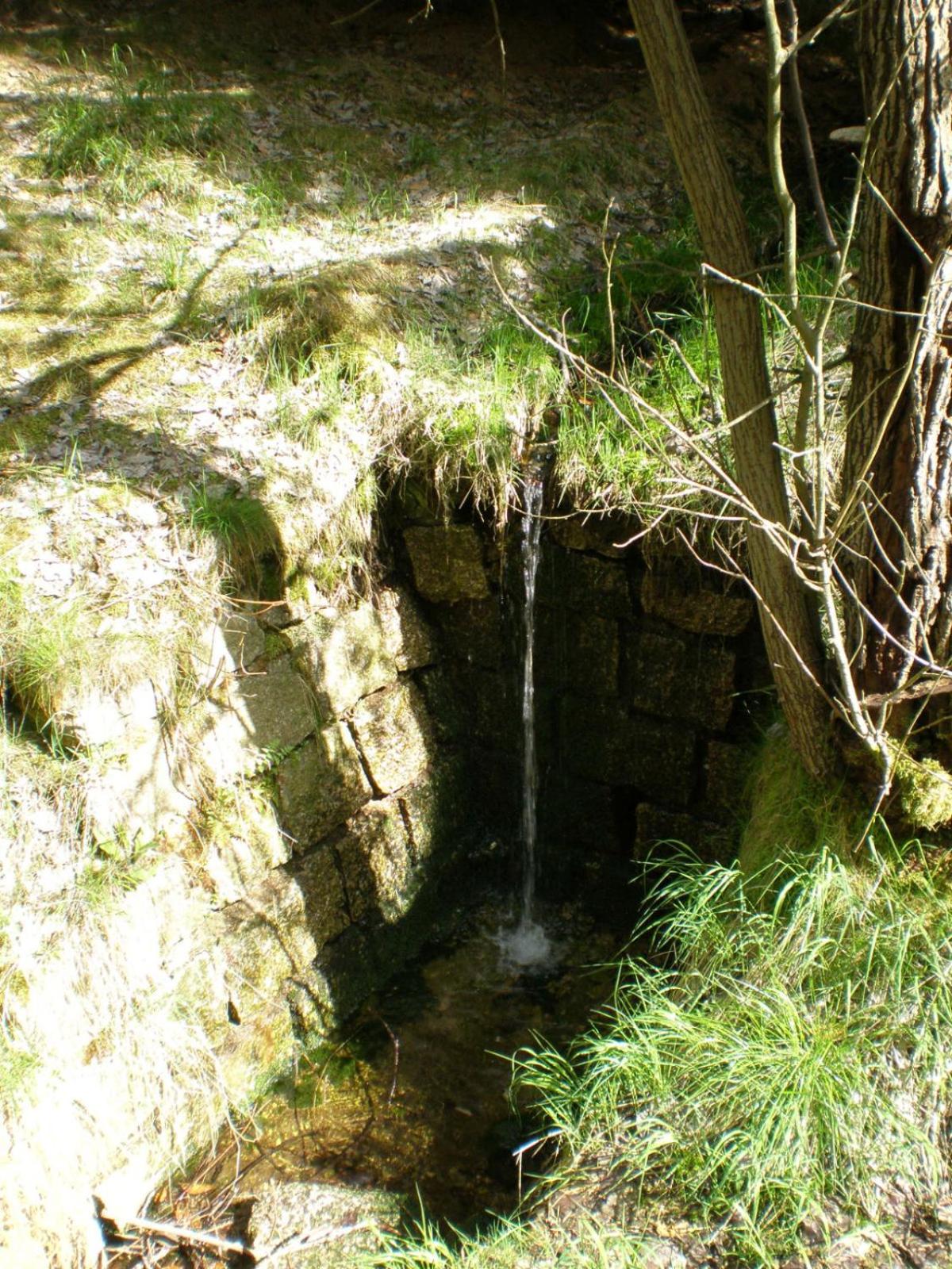 Photo 71