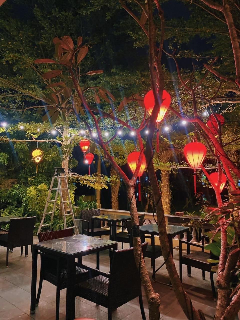 Eden Hoi An Villas view 2