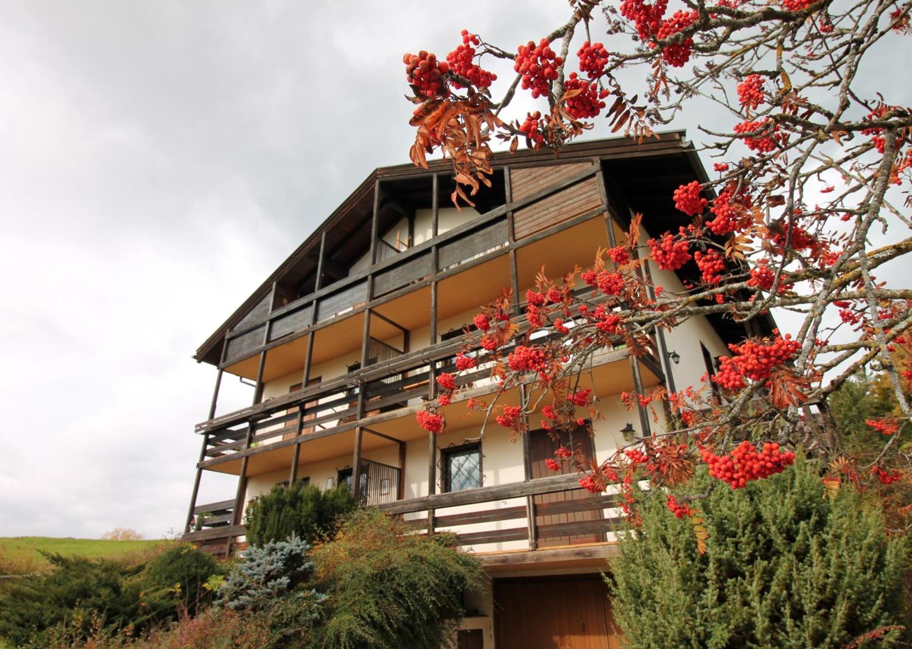 CASA 4 PIOPPI - Vista Lagorai e tranquillità a Cavalese - Dolomiti Affitti