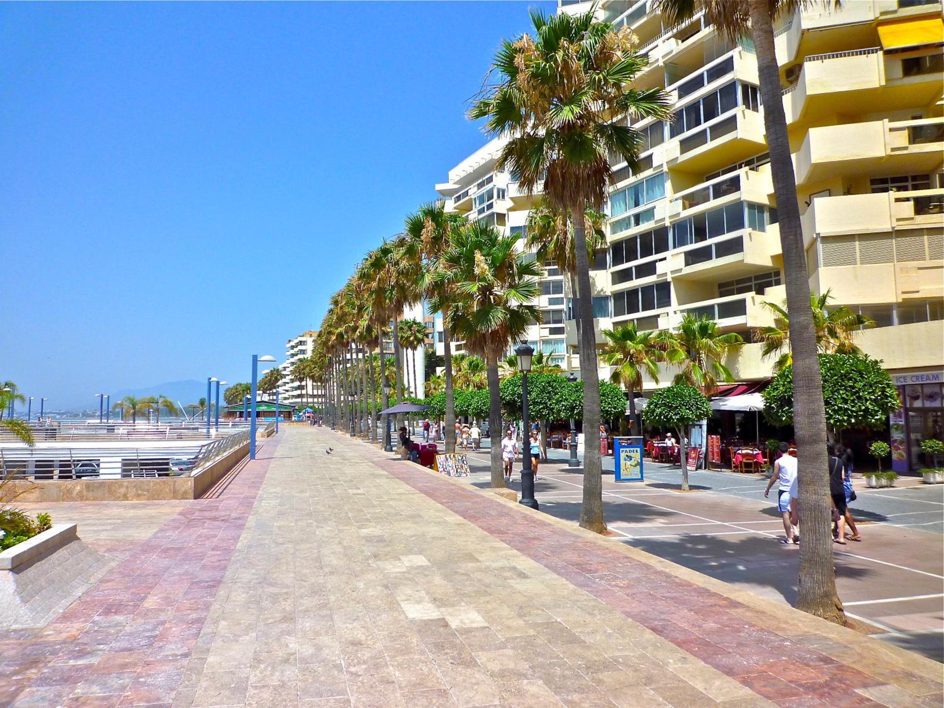 Deluxe Apartment on the Beach photo 3