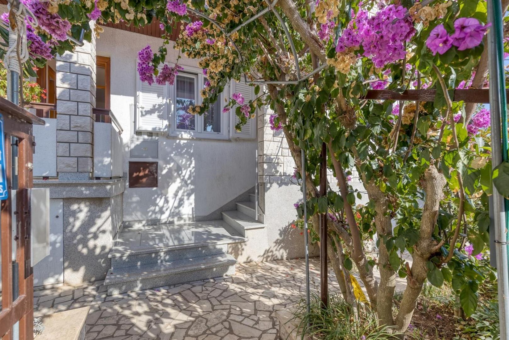 Apartments Azra