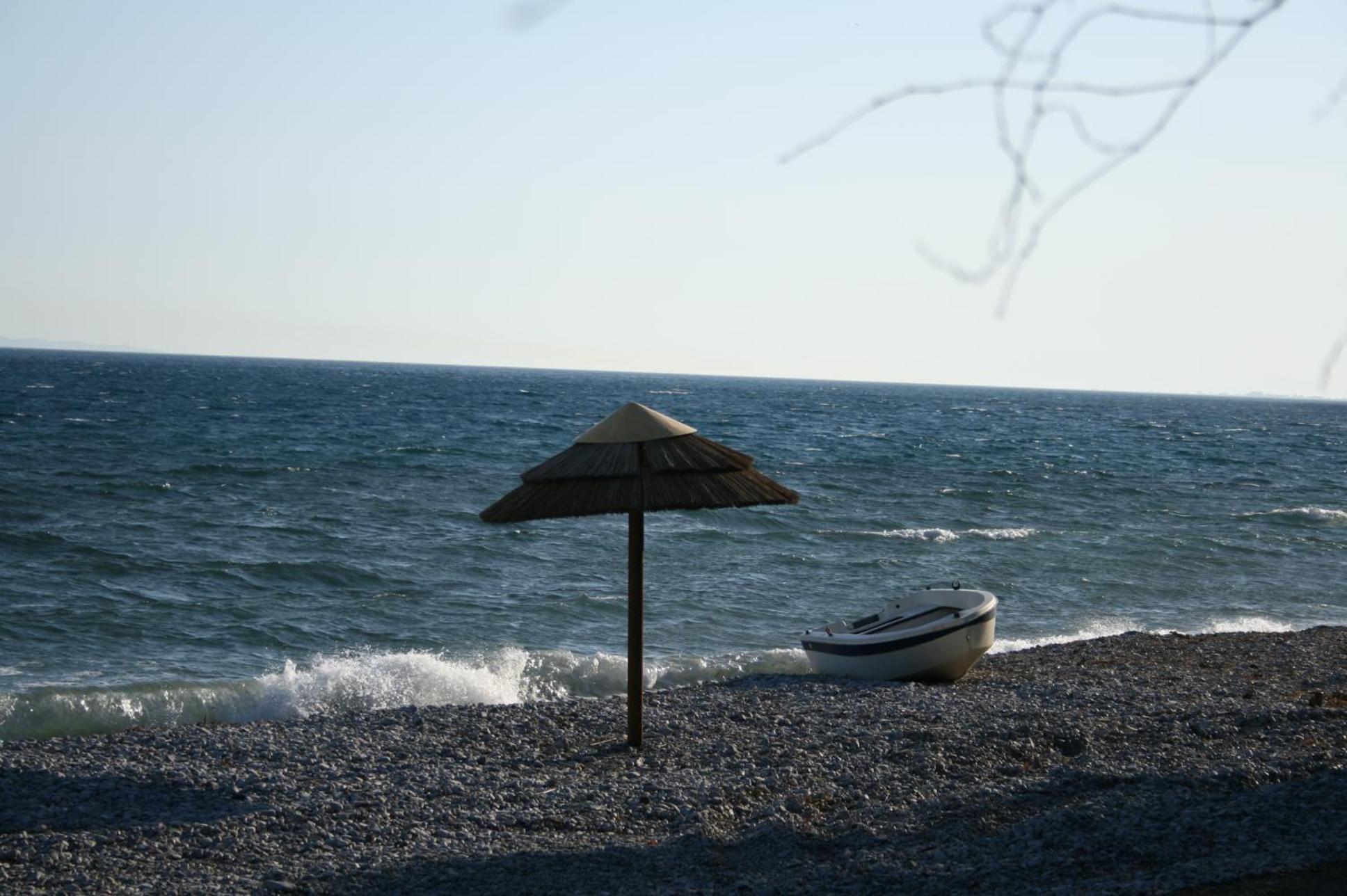 Photo 100