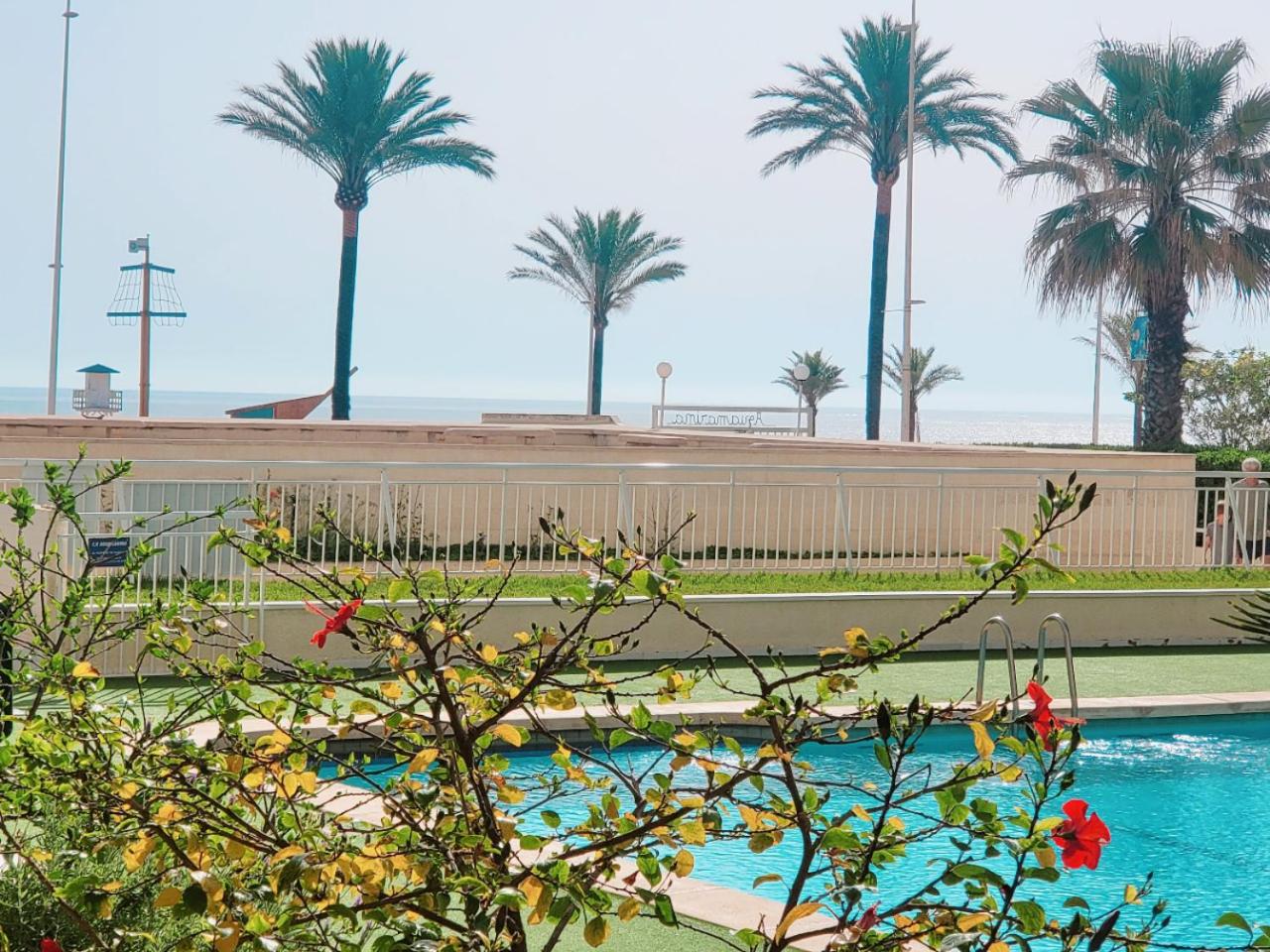 Aguamarina Gandia