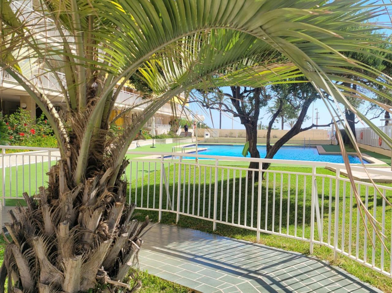 Aguamarina Gandia