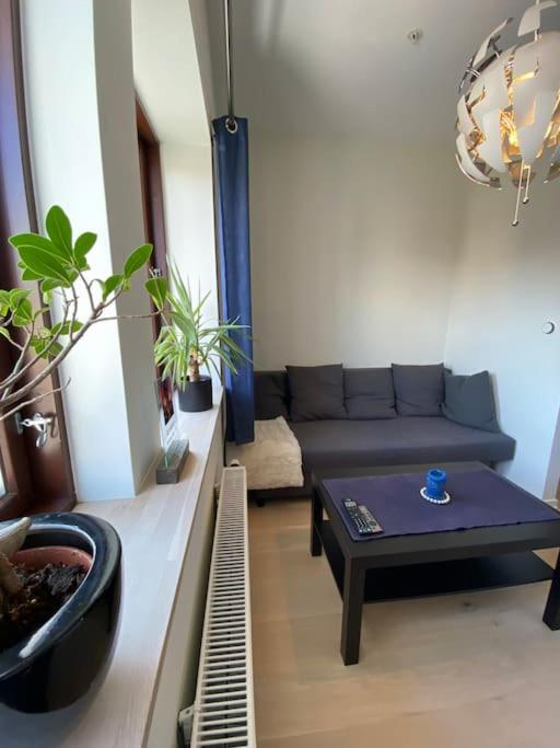 Moderne leilighet midt i sentrum av Fredrikstad view 4
