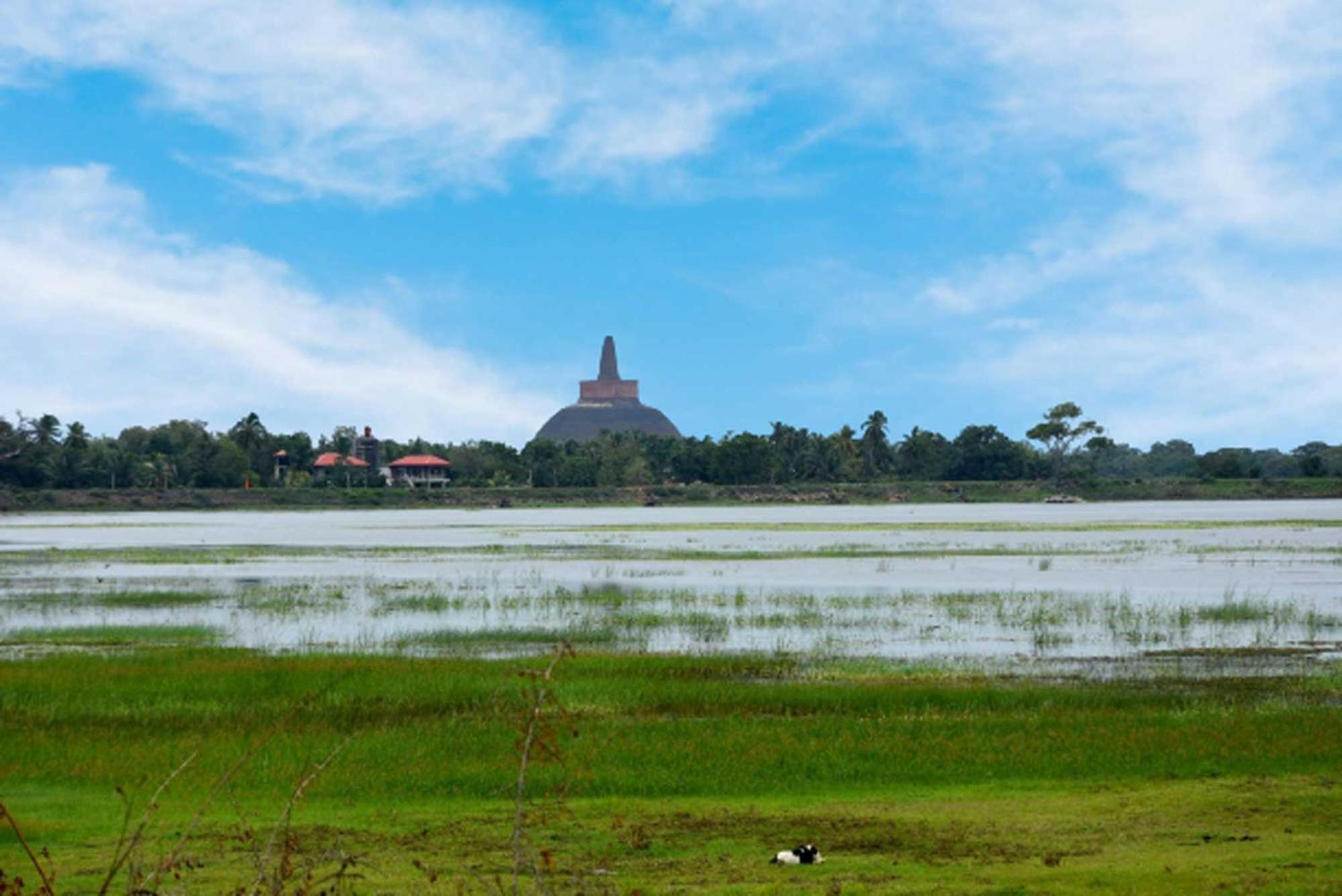 Dula Lake Resort view 2