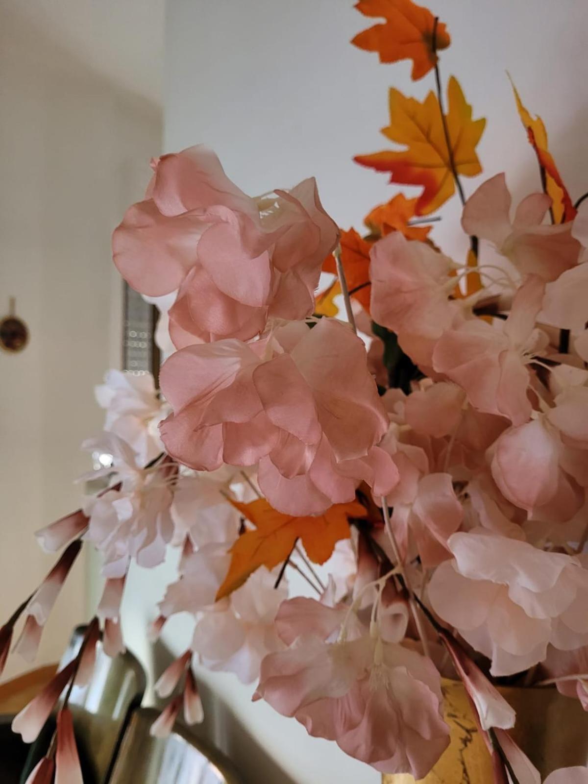 La Maison De Rose en Turi — other