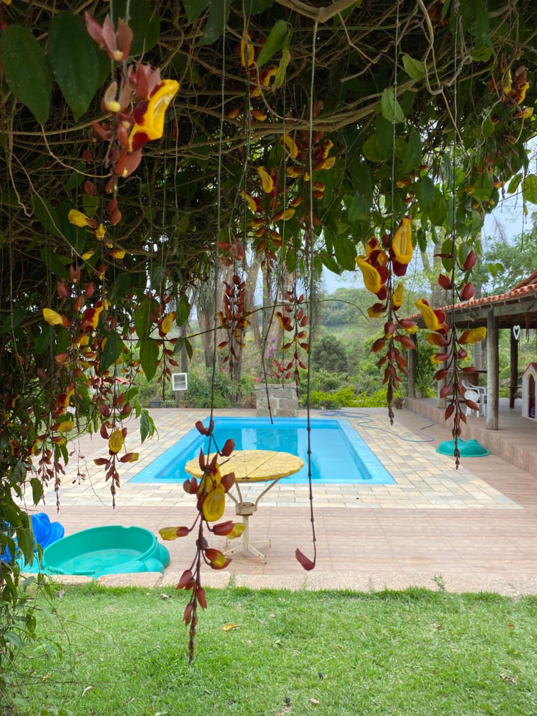 CHÁCARA GODOI - Meu Paraíso - Image 3