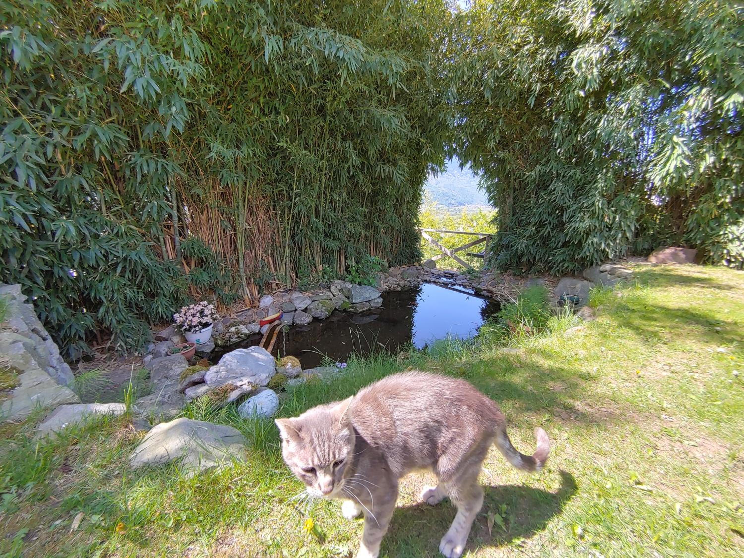 Bed & Breakfast Valtellina