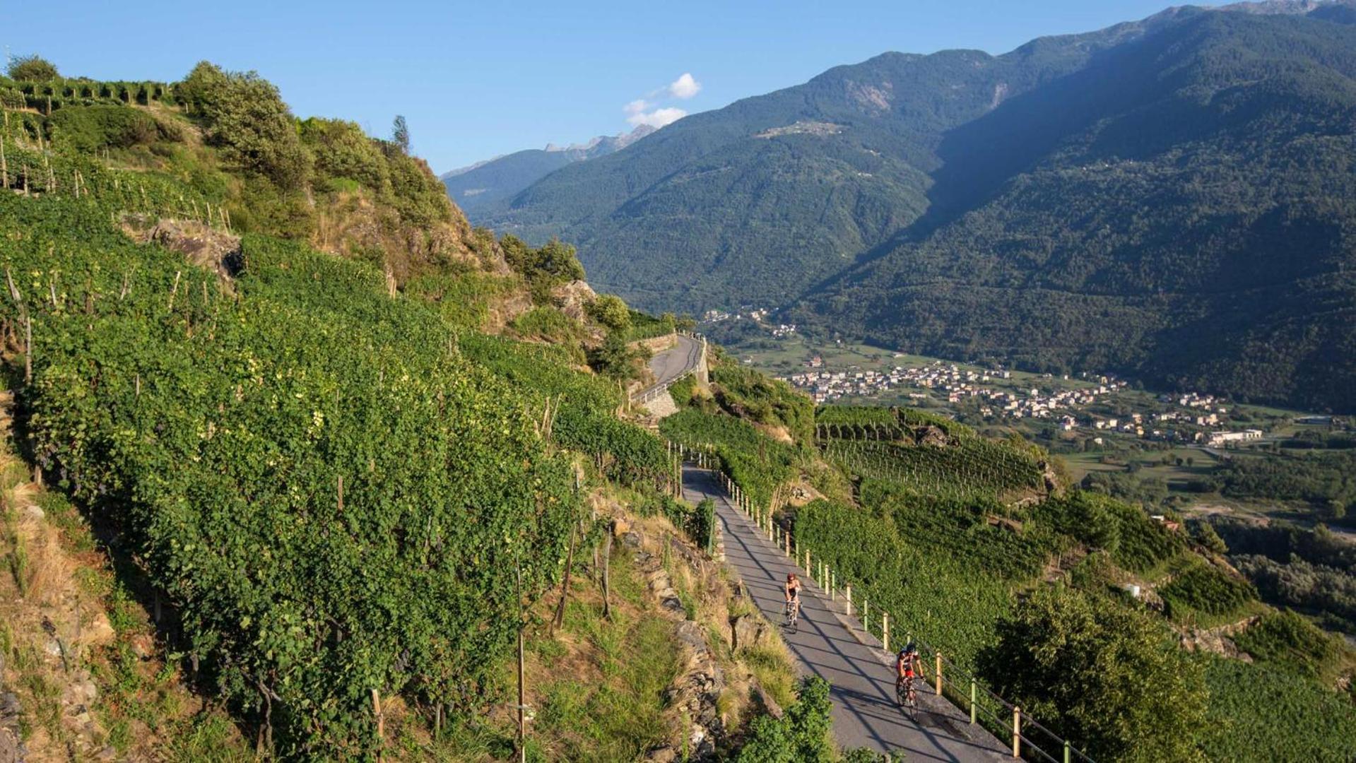 Bed & Breakfast Valtellina