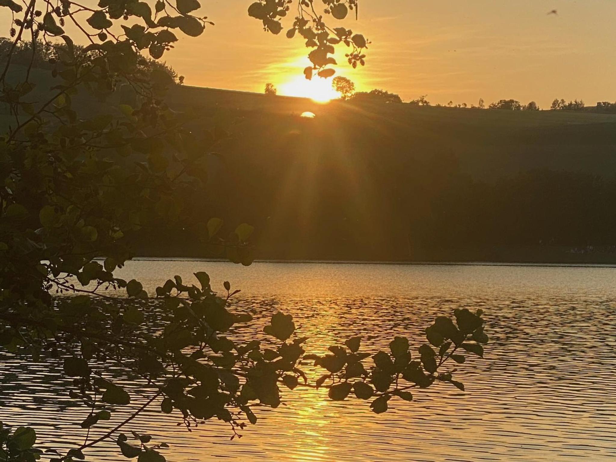 Ferienhaus direkt am Diemelsee-Heringhausen-Willingen-Toplage-Sauna-3 Schlafzimmer-2 Terrassen-109 qm-incl Wäsche
