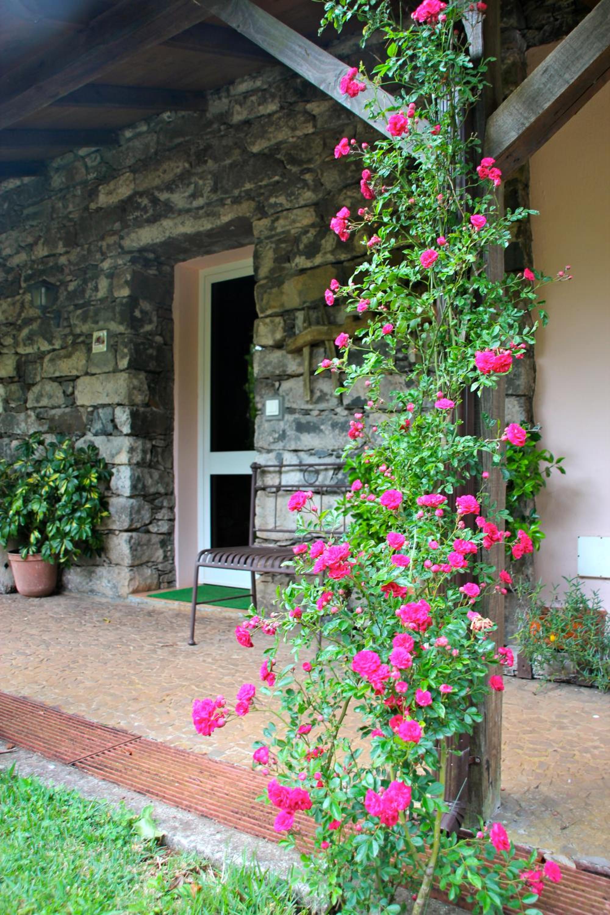 Bio Quinta do Pantano, Agro Turismo